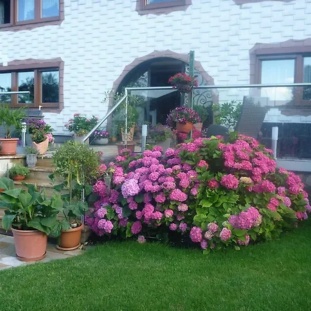 Haus Regina Maria Taferl